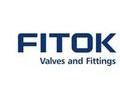 wпFITOK