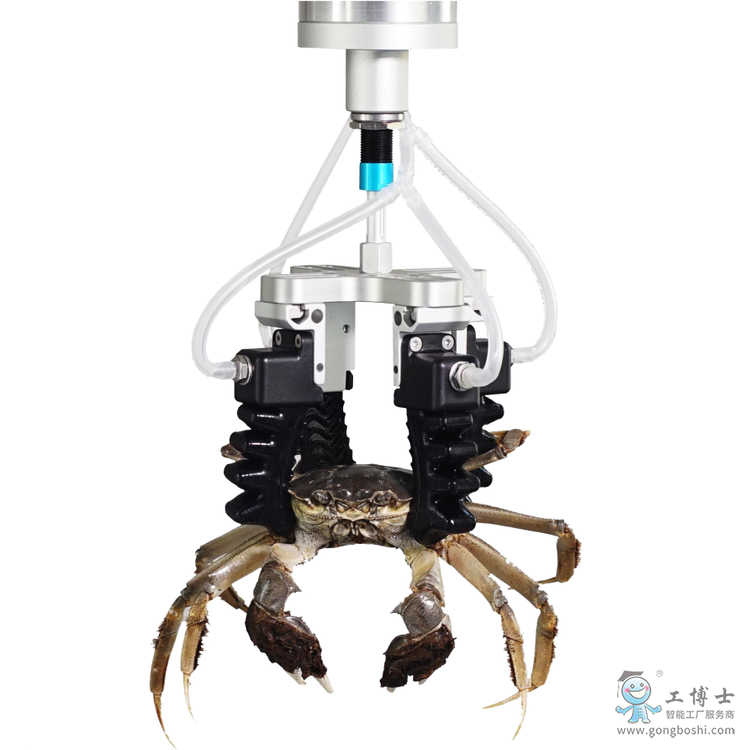 工博士機(jī)器人夾具